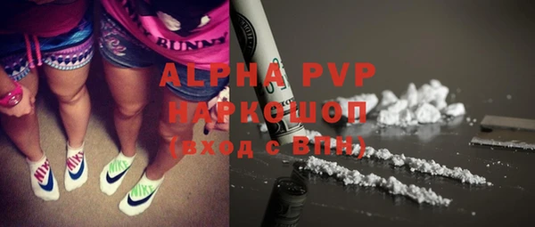 прущие грибы Кулебаки