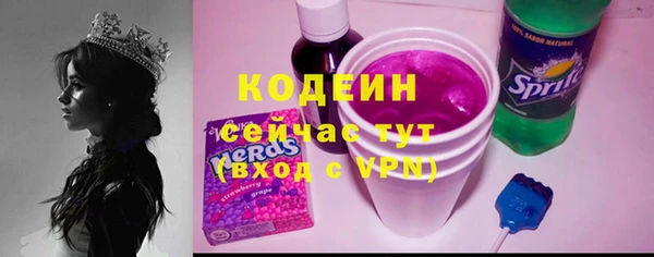 прущие грибы Кулебаки