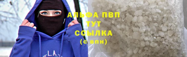 прущие грибы Кулебаки
