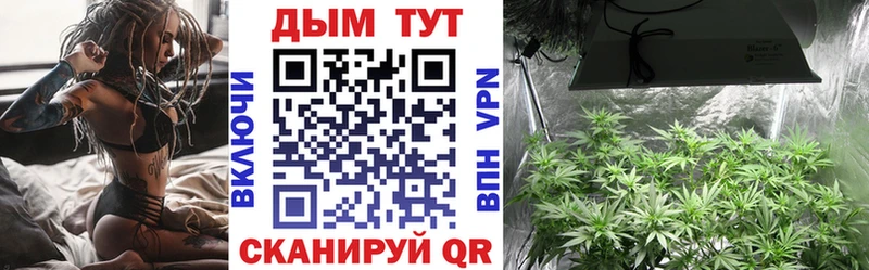 Купить где  Кяхта  Канабис AK-47 